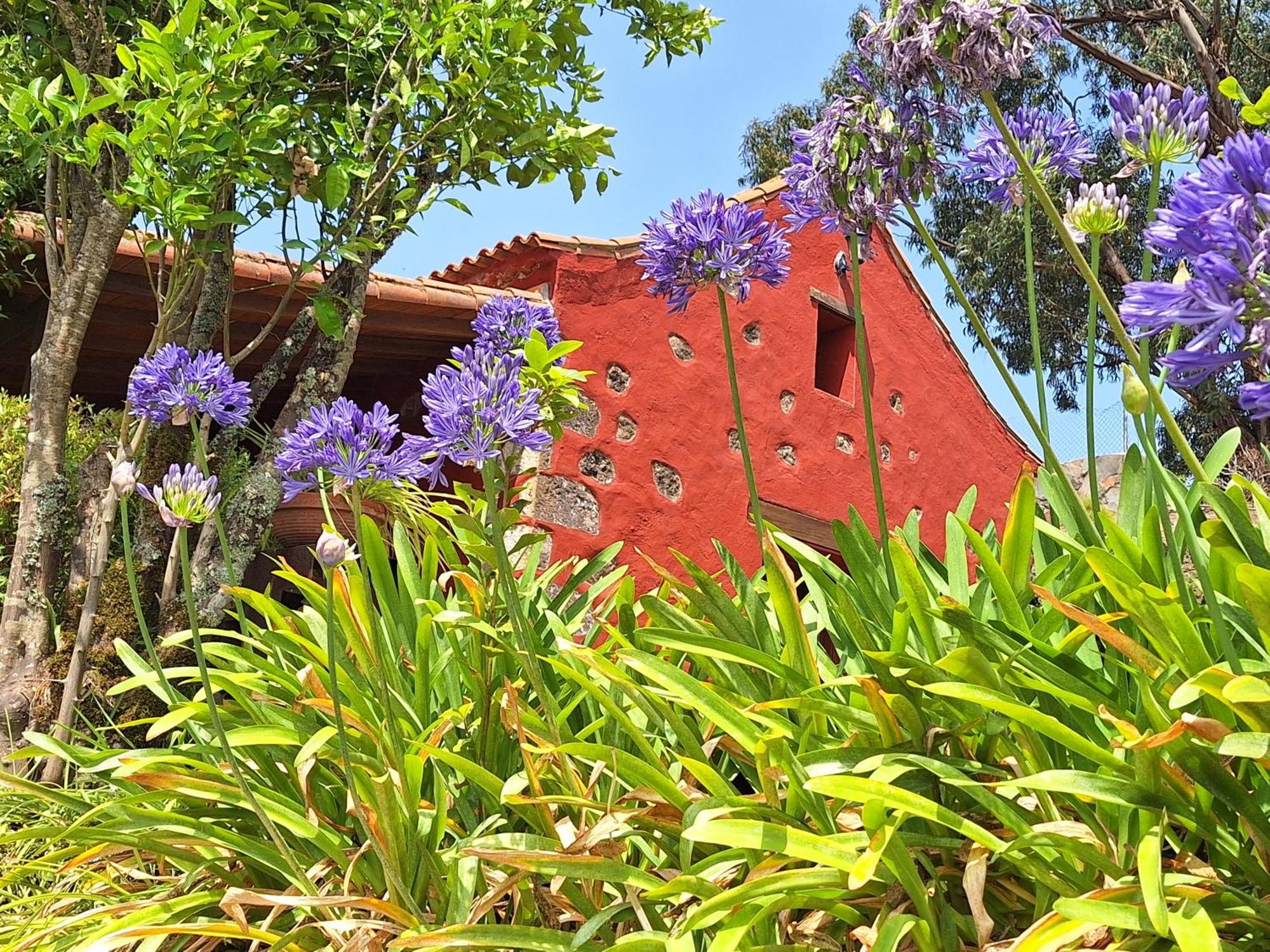 Casa Rural Con Piscina Privada El Roble Moya  Exterior photo