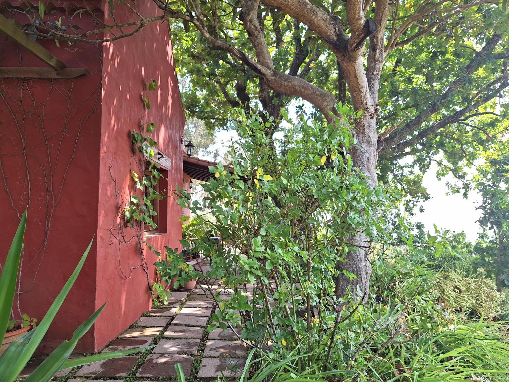 Casa Rural Con Piscina Privada El Roble Moya  Exterior photo