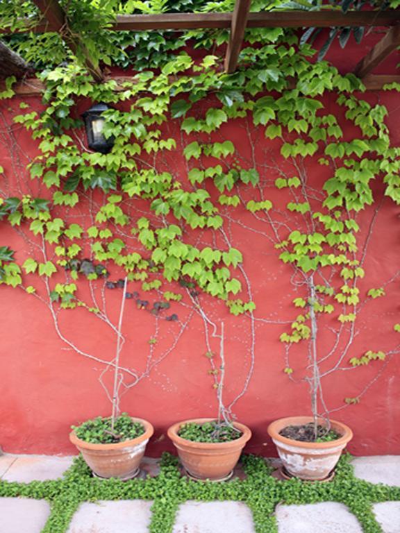 Casa Rural Con Piscina Privada El Roble Moya  Exterior photo